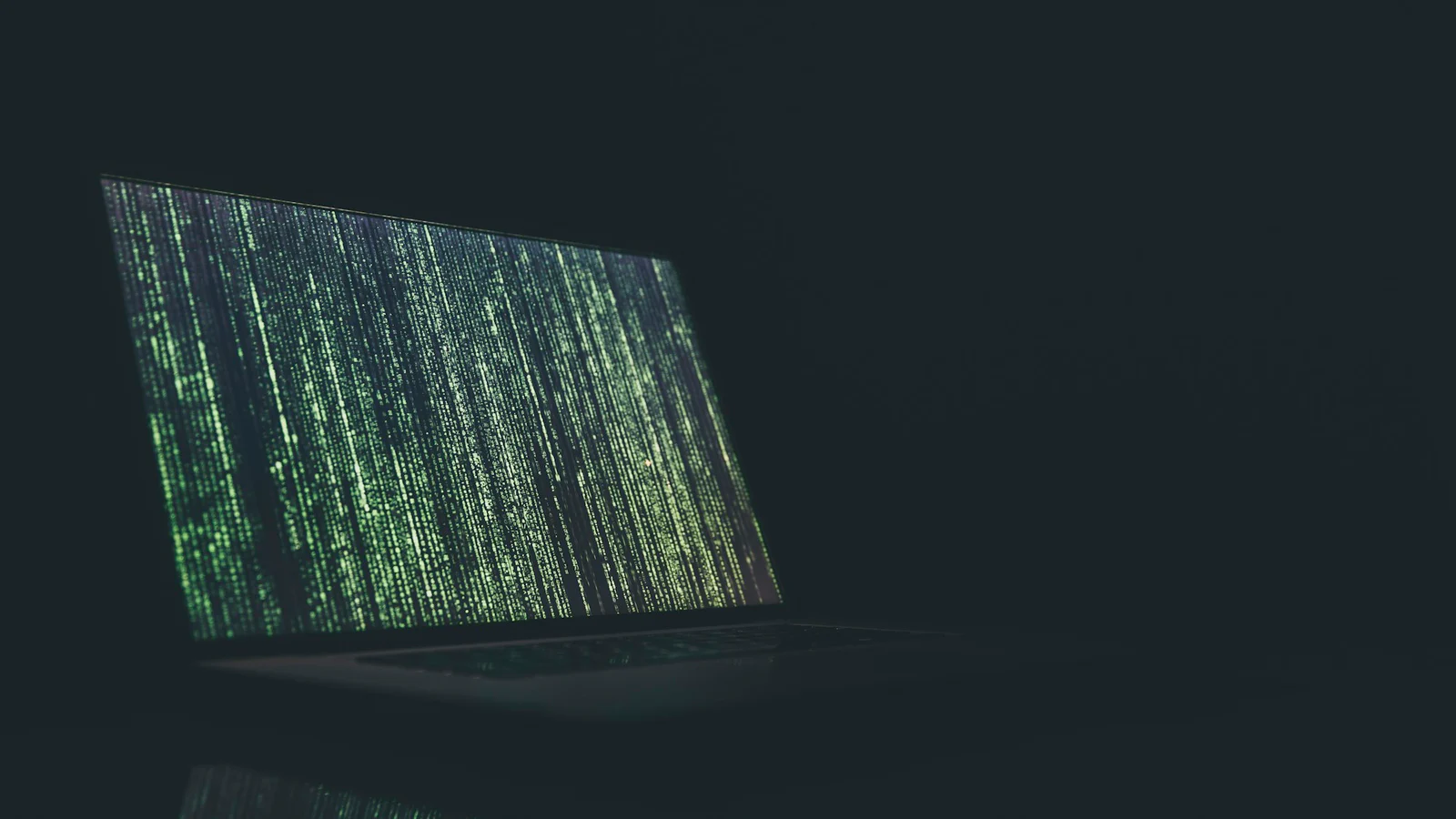 Software security work on a laptop